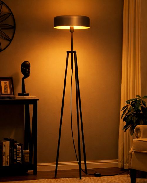 Floor Lamps